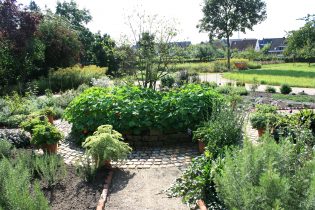 GALERIE_2016-09-06Garten-(1)