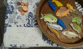 Foto Fische Mn