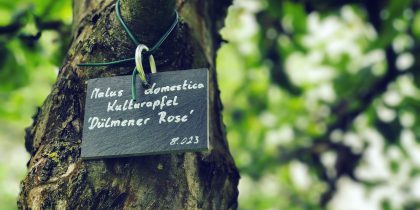 Kapuziner Klostergarten Münster erhält Auszeichnung der UN-Dekade Biologische Vielfalt